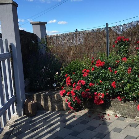 Appartement Les Magnolias En Alsace - Meuble De Tourisme 3 Etoiles à Barembach Extérieur photo