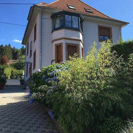 Appartement Les Magnolias En Alsace - Meuble De Tourisme 3 Etoiles à Barembach Extérieur photo
