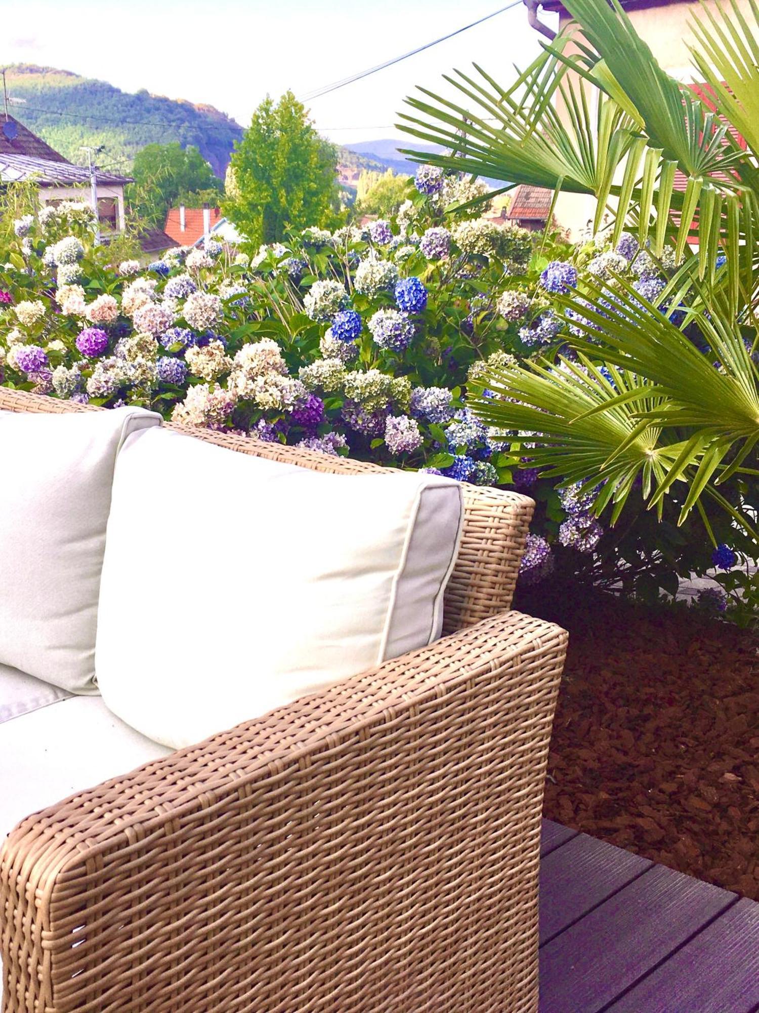 Appartement Les Magnolias En Alsace - Meuble De Tourisme 3 Etoiles à Barembach Extérieur photo