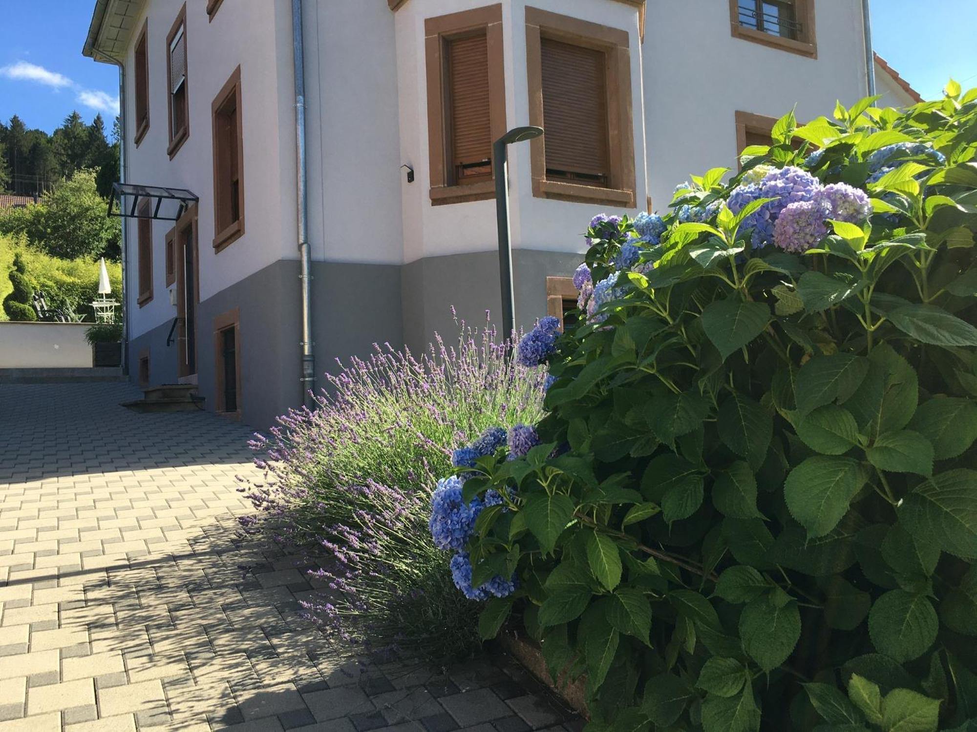 Appartement Les Magnolias En Alsace - Meuble De Tourisme 3 Etoiles à Barembach Extérieur photo