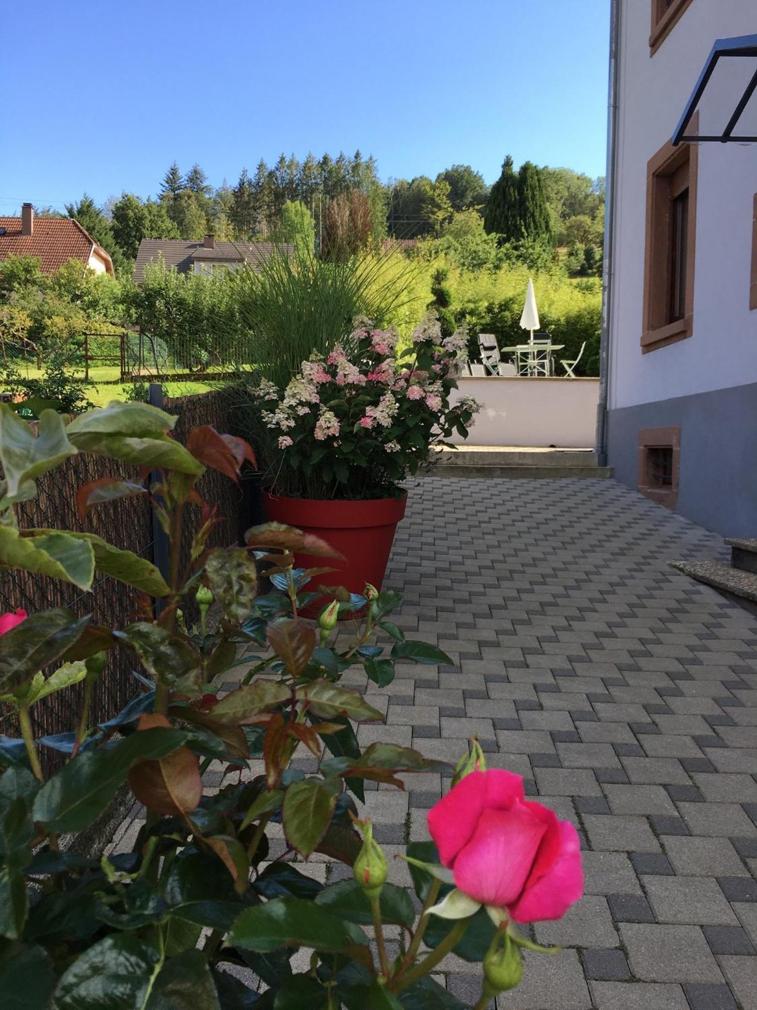 Appartement Les Magnolias En Alsace - Meuble De Tourisme 3 Etoiles à Barembach Extérieur photo