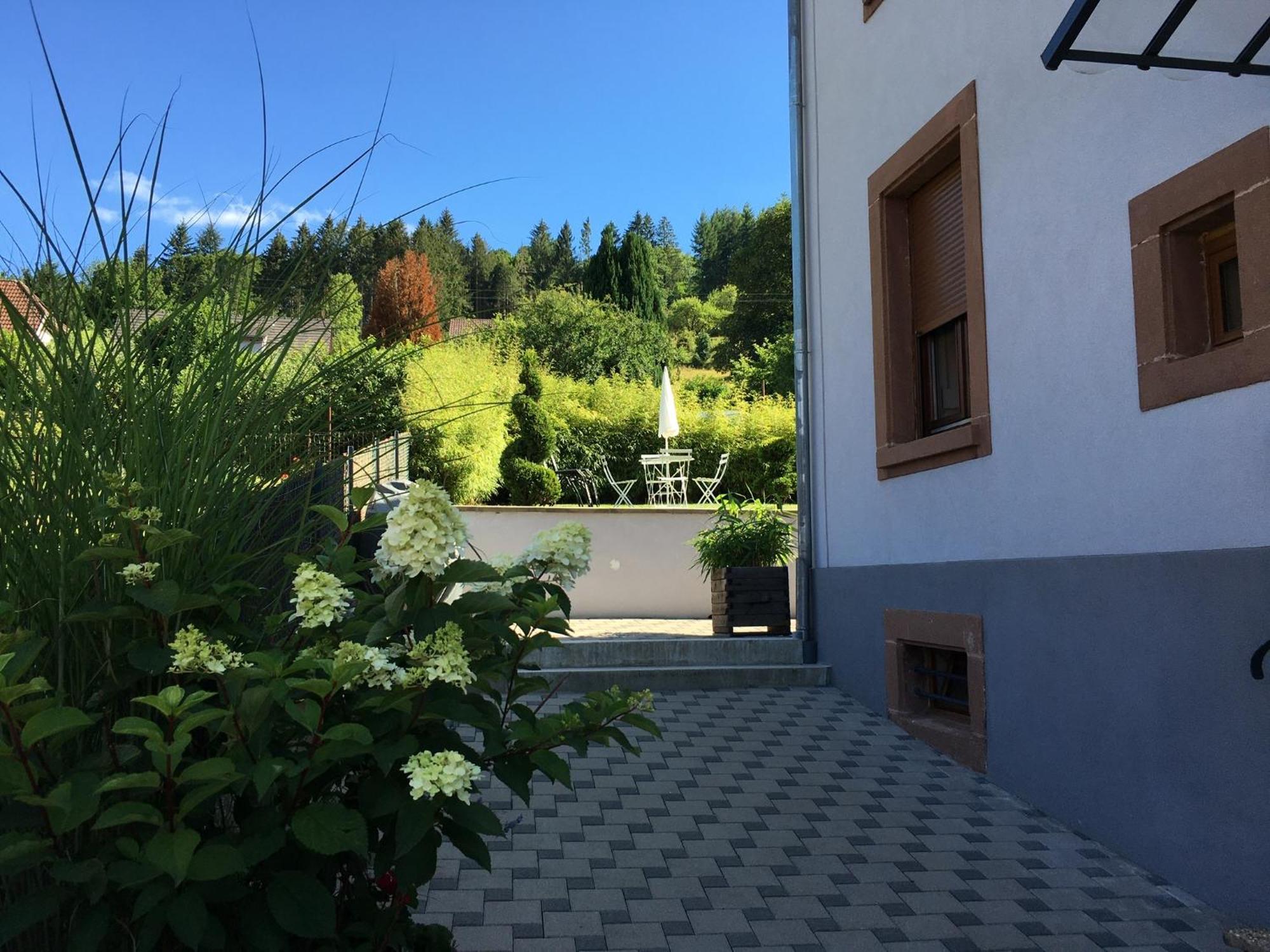 Appartement Les Magnolias En Alsace - Meuble De Tourisme 3 Etoiles à Barembach Extérieur photo