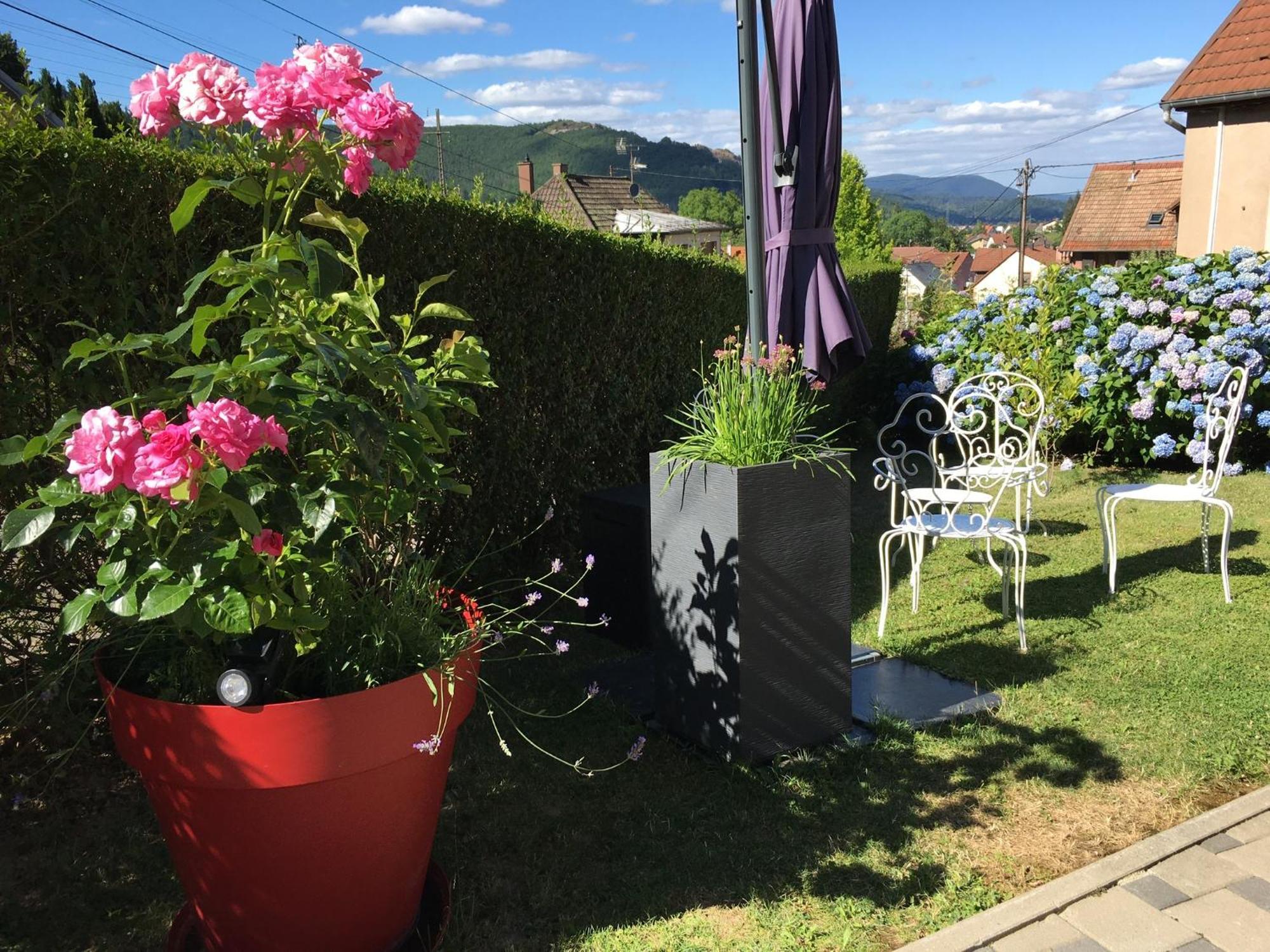 Appartement Les Magnolias En Alsace - Meuble De Tourisme 3 Etoiles à Barembach Extérieur photo