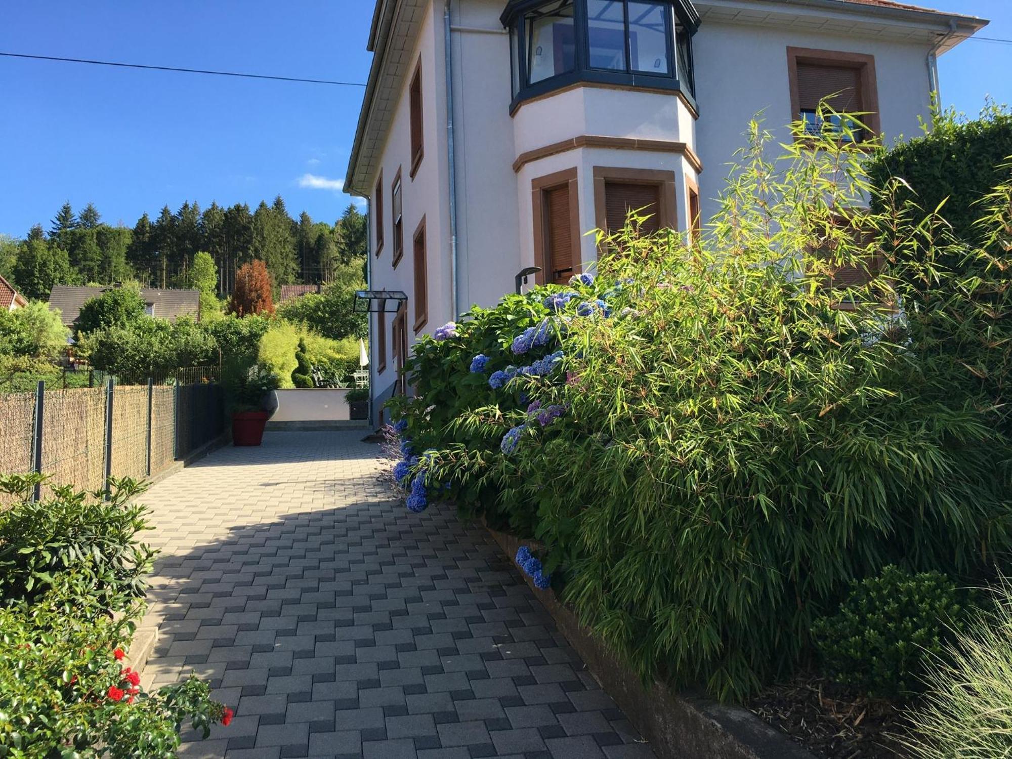 Appartement Les Magnolias En Alsace - Meuble De Tourisme 3 Etoiles à Barembach Extérieur photo